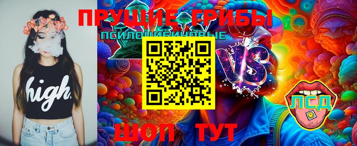 Псилоцибиновые грибы Cubensis Юрга