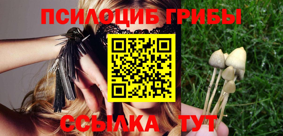 Псилоцибиновые грибы мицелий  Вход с VPN  Юрга 